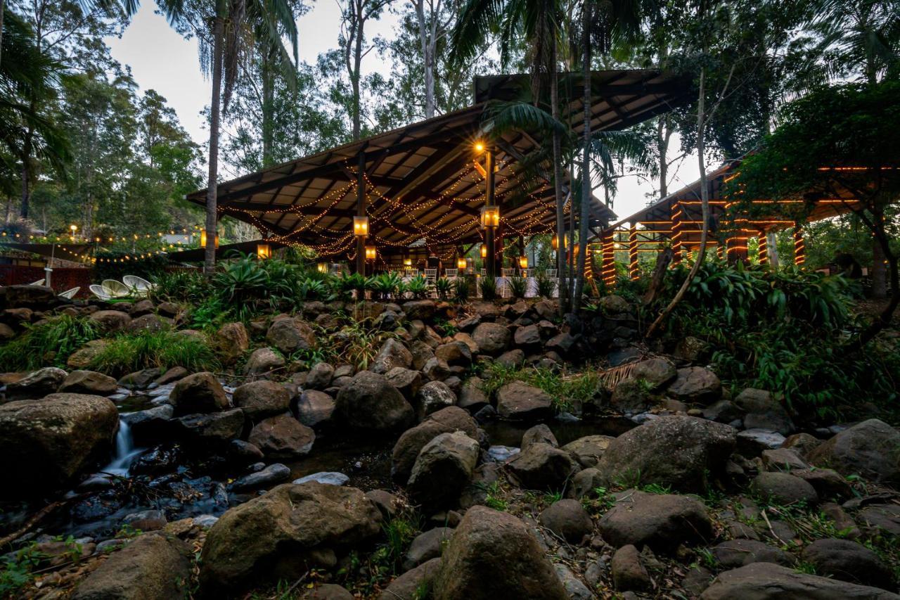 Cedar Creek Lodges Χρυσή Ακτή Εξωτερικό φωτογραφία