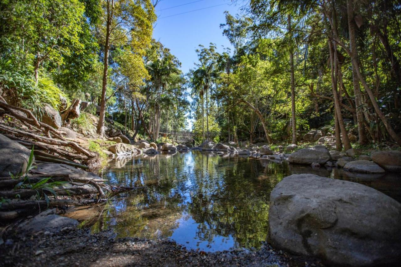 Cedar Creek Lodges Χρυσή Ακτή Εξωτερικό φωτογραφία